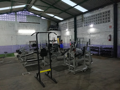 Muscle Gym & Fitness - Cecilio García 104-A, Obrera, 58130 Morelia, Mich., Mexico
