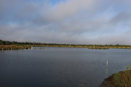 Nature Preserve «Perico Preserve», reviews and photos, 11700 Manatee Ave W, Bradenton, FL 34209, USA