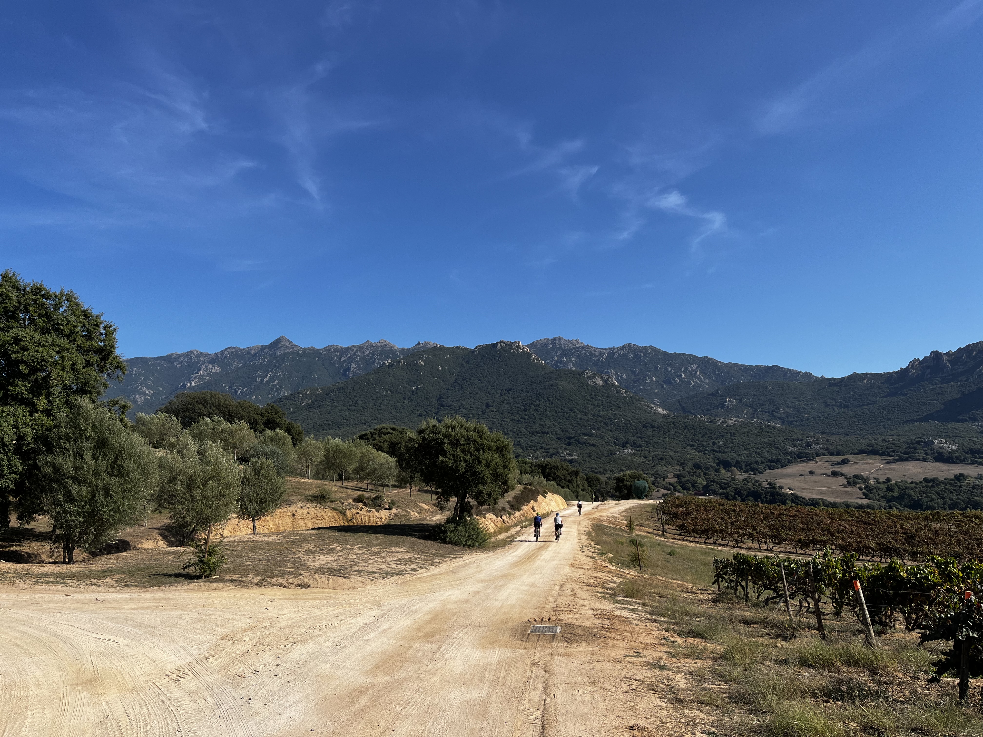 Photo n° 4 de l'avis de Luc.e fait le 15/10/2023 à 17:22