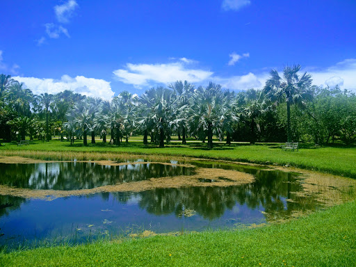 Tourist Attraction «Shark Valley Tram Tours», reviews and photos, 36000 SW 8th St, Miami, FL 33194, USA