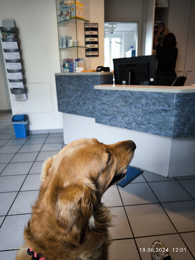 Tierarztpraxis Dr. Erdmute Lipper unter Nuremberg, 