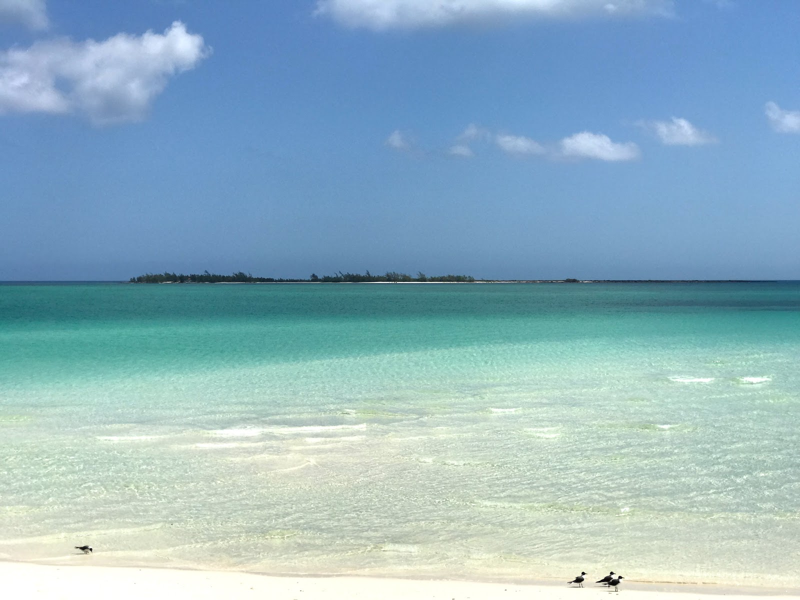 Foto de Playa de Pilar área parcialmente de hotel