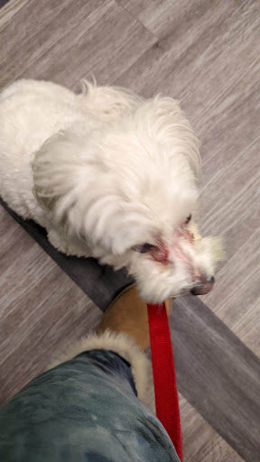 Pet Supply Store «Dogge Style Pets Passyunk», reviews and photos, 1700 E Passyunk Ave, Philadelphia, PA 19148, USA