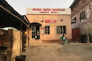 Mama Adija Eatables (Amala Spot) image