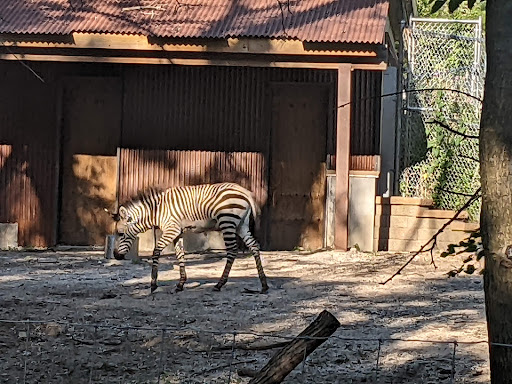 Zoo «Blank Park Zoo», reviews and photos, 7401 SW 9th St, Des Moines, IA 50315, USA