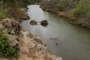 Lady Bird Johnson Municipal Park image