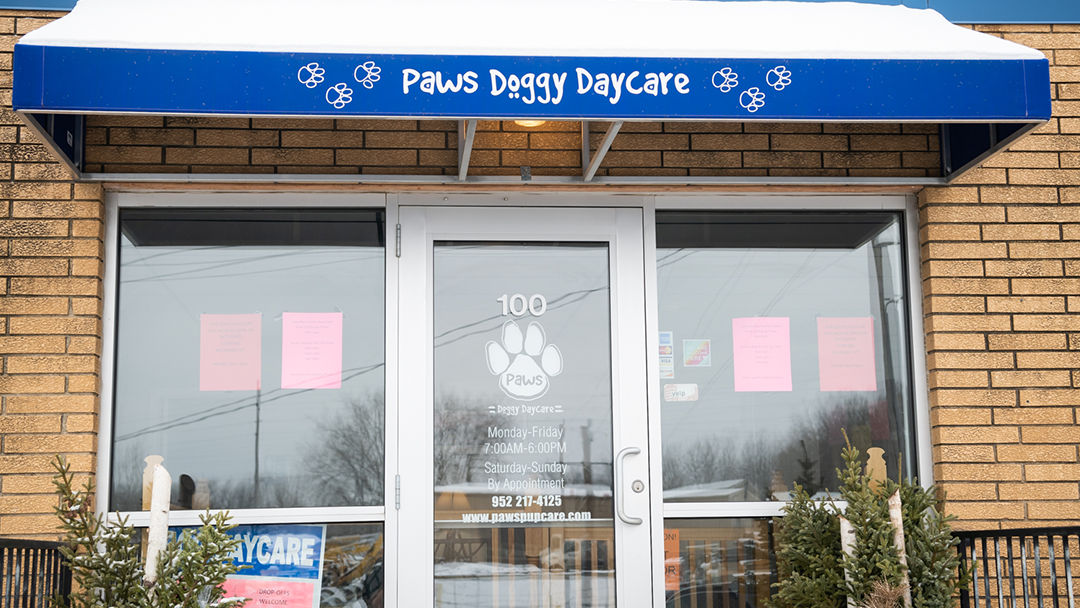 Paws Doggy Daycare