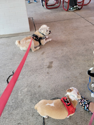 Park «Stringtown Park», reviews and photos, 7340 Burlington Pike, Florence, KY 41042, USA