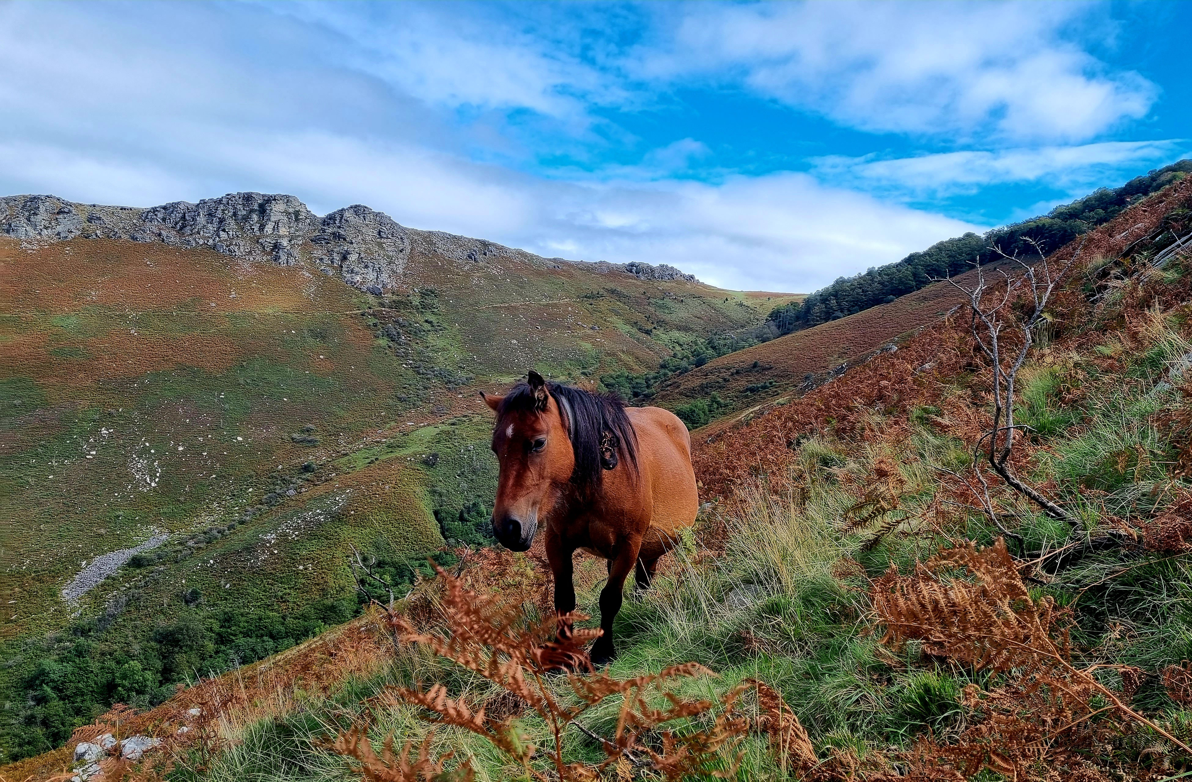 Photo n° 4 de l'avis de 64.I fait le 18/10/2022 à 18:34