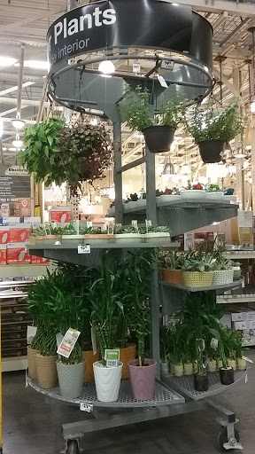 Home Improvement Store «The Home Depot», reviews and photos, 8445 Little Rd, New Port Richey, FL 34654, USA