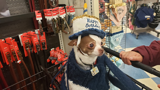 Pet Supply Store «Petco Animal Supplies», reviews and photos, 2277 Ford Pkwy, St Paul, MN 55116, USA