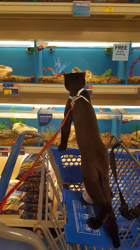 Pet Supply Store «PetSmart», reviews and photos, 291 Skokie Blvd, Northbrook, IL 60062, USA