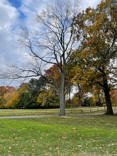 Golf Course «Hendricks Field Golf Course», reviews and photos, 220 S Franklin Ave, Belleville, NJ 07109, USA
