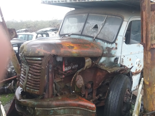 Branthomme Jean-Christophe