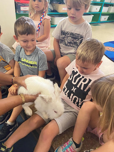 Preschool «Suncoast Academy: South Tampa Preschool», reviews and photos, 4207 W San Miguel St, Tampa, FL 33629, USA