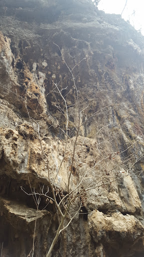 Non-Profit Organization «Westcave Outdoor Discovery Center», reviews and photos, 24814 Hamilton Pool Rd, Round Mountain, TX 78663, USA