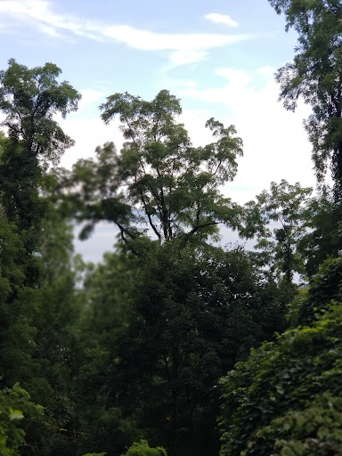 State Park «Hook Mountain State Park», reviews and photos, N Rte 9W, Nyack, NY 10960, USA