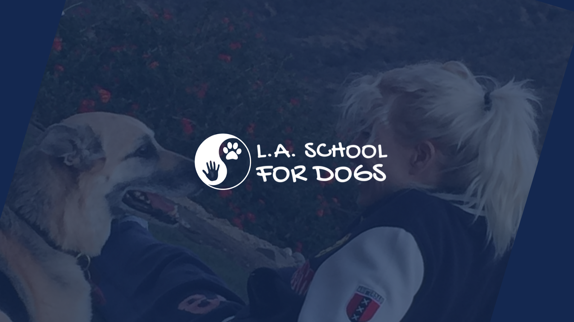 L A School For Dogs