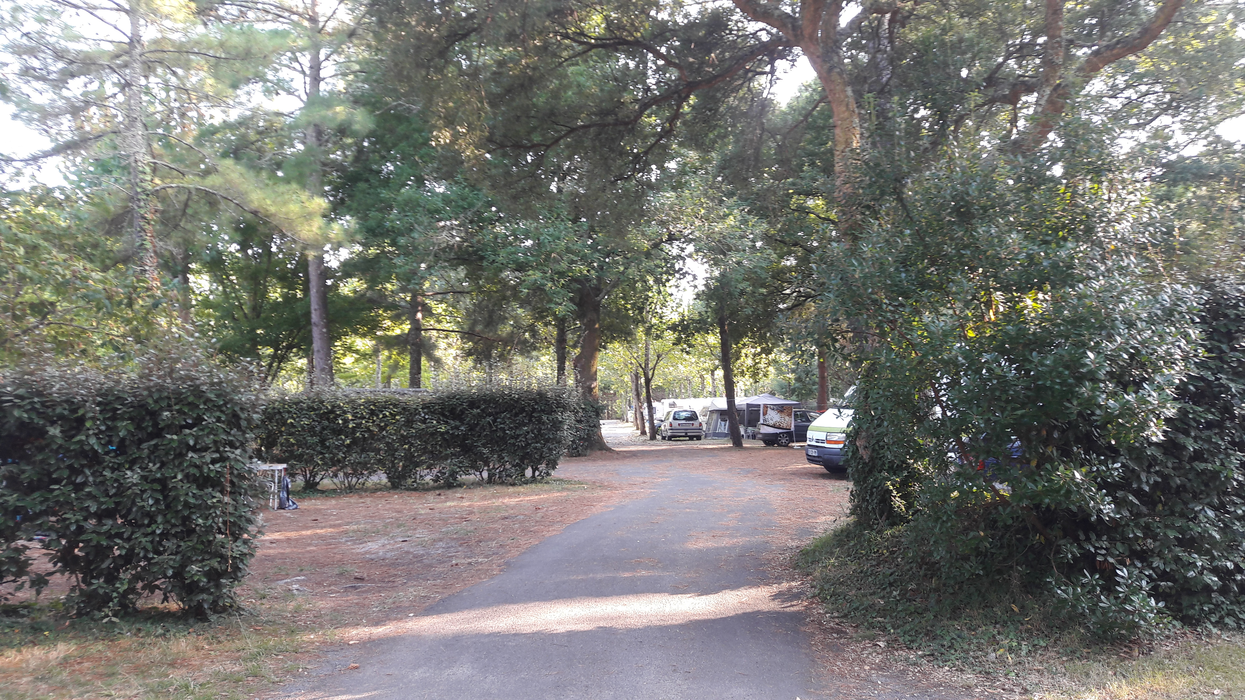 Photo n° 6 de l'avis de Michel.o fait le 21/08/2017 à 12:11