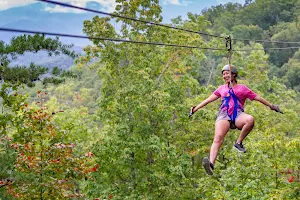 Legacy Mountain Ziplines image