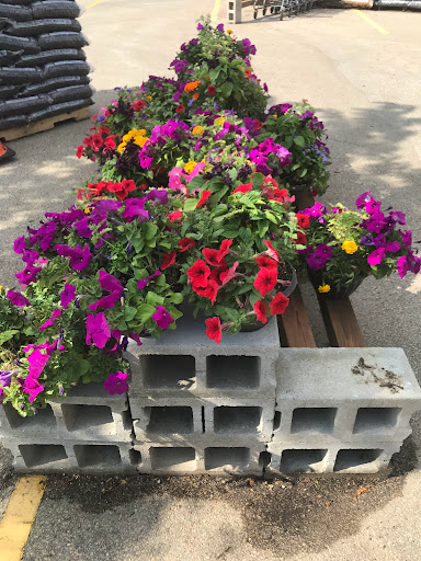 Grocery Store «Hy-Vee», reviews and photos, 9409 Zane Ave N, Brooklyn Park, MN 55443, USA