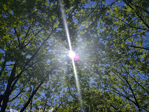 Park «New Brighton Park», reviews and photos, 3201 New Brighton Rd, Arden Hills, MN 55112, USA