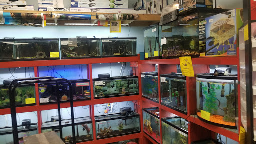 Pet Store «Everything Pets», reviews and photos, 1506 Altamont Ave, Schenectady, NY 12303, USA