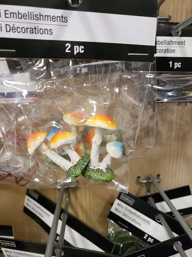 Craft Store «Michaels», reviews and photos, 4743 W 29th St a, Greeley, CO 80634, USA