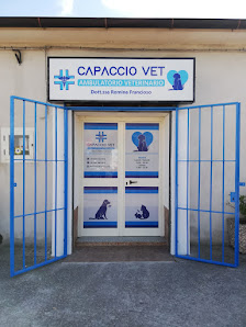 Ambulatorio Veterinario CapaccioVet Via Sandro Pertini, 22, 84047 Capaccio Scalo SA, Italia