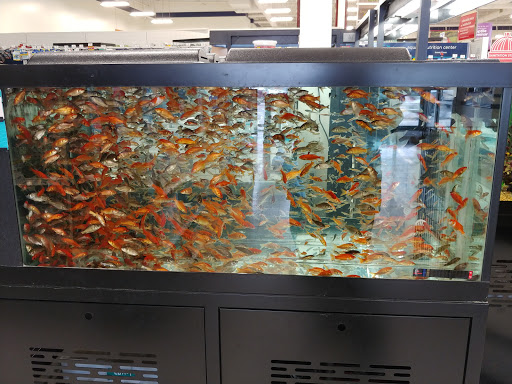 Pet Supply Store «Petco Animal Supplies», reviews and photos, 8010 Wedgewood Ln N, Maple Grove, MN 55369, USA