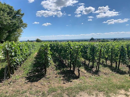 Château Coutet à Saint-Émilion