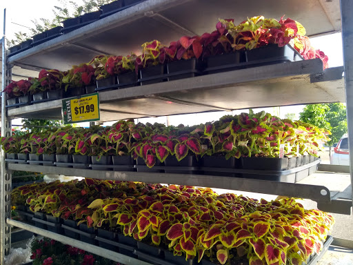 Supermarket «Fruit Tree Farm», reviews and photos, 1500 Sunrise Hwy, Copiague, NY 11726, USA