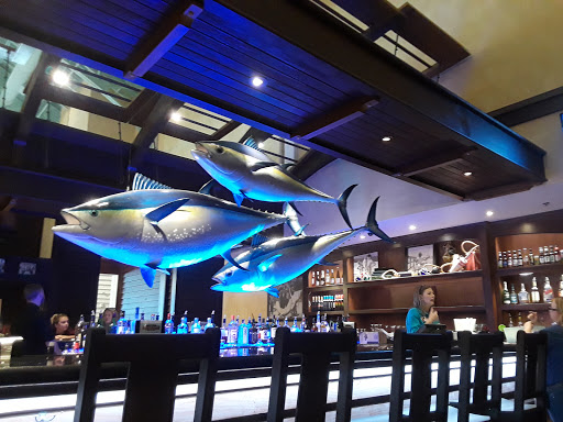 Sporting Goods Store «Bass Pro Shops», reviews and photos, 10501 Palm River Rd, Tampa, FL 33619, USA