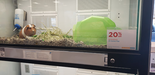 Pet Supply Store «Petco Animal Supplies», reviews and photos, 9078 SE Sunnyside Rd, Clackamas, OR 97015, USA