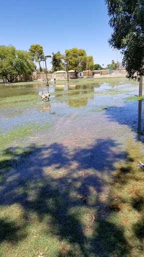 Park «Pierce Park», reviews and photos, 2150 N 46th St, Phoenix, AZ 85008, USA