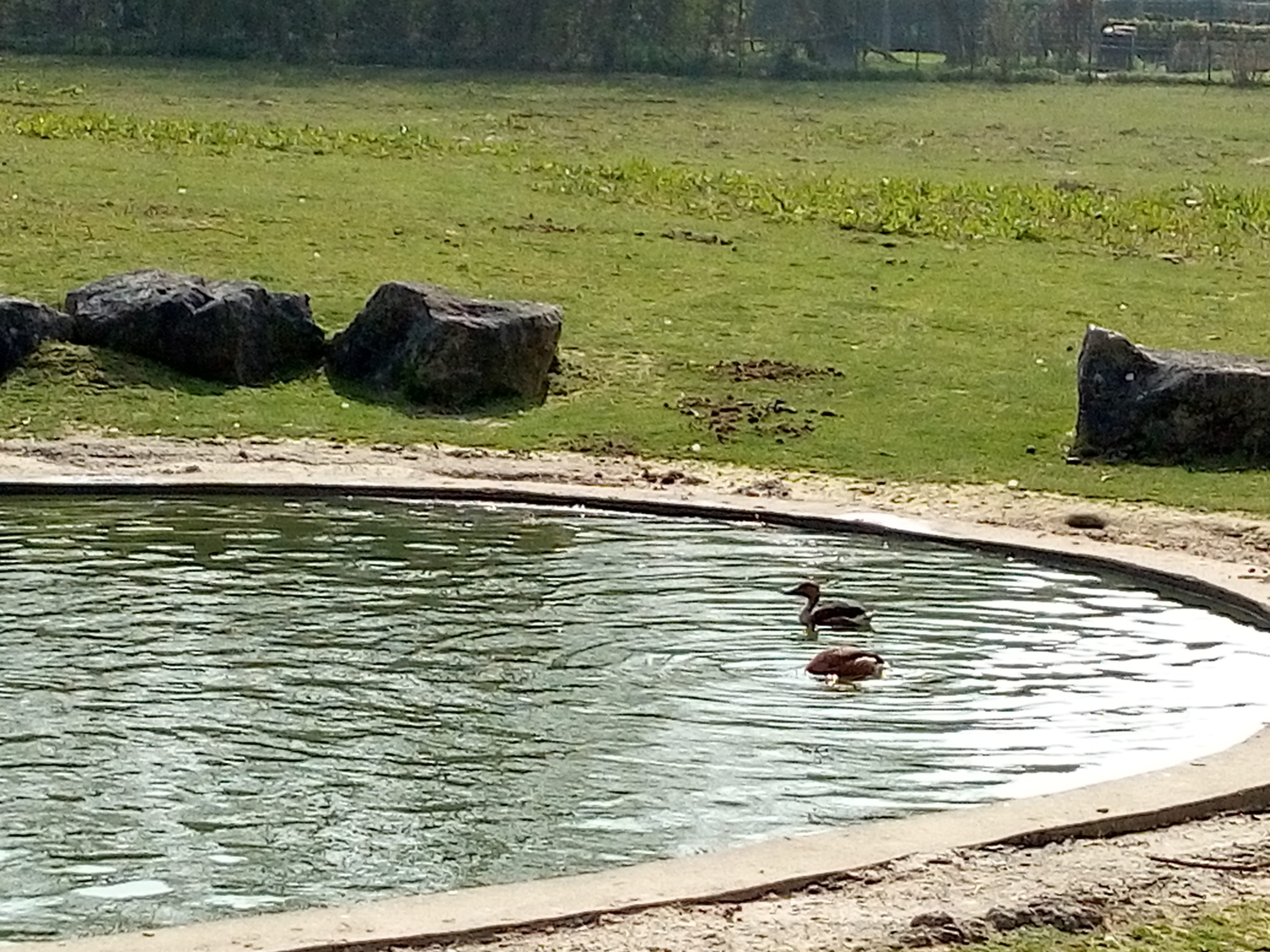 Photo n° 16 de l'avis de coralie.a fait le 11/05/2019 à 16:24