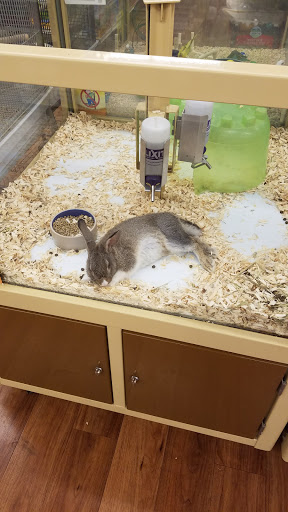 Pet Supply Store «Pet Supermarket, Inc.», reviews and photos, 3911 Lemmon Ave, Dallas, TX 75219, USA