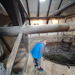 Photo n°6 de l'avis de Sebastian.� fait le 27/08/2022 à 20:24 sur le  Wachsenburg Castle à Amt Wachsenburg