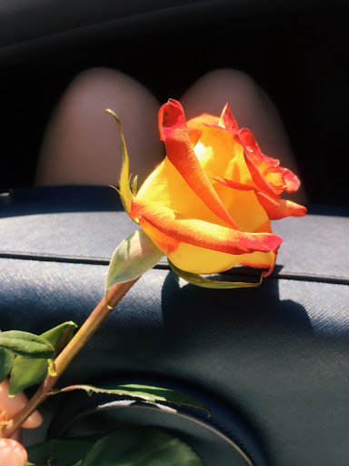 Florist «Caruso Florist», reviews and photos, 1717 M St NW, Washington, DC 20036, USA