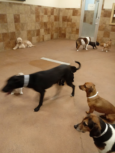 Pet Supply Store «PetSmart», reviews and photos, 114 Commerce Way, Woburn, MA 01801, USA