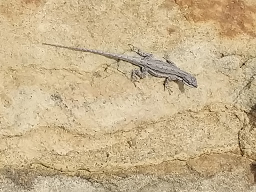 Winery «Arc De Texas», reviews and photos, 4555 US-281, Johnson City, TX 78636, USA