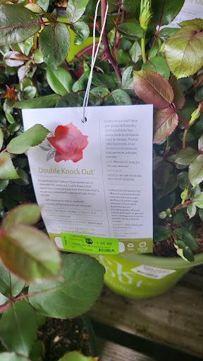 Supermarket «Big Y», reviews and photos, 62 W Main St, Spencer, MA 01562, USA