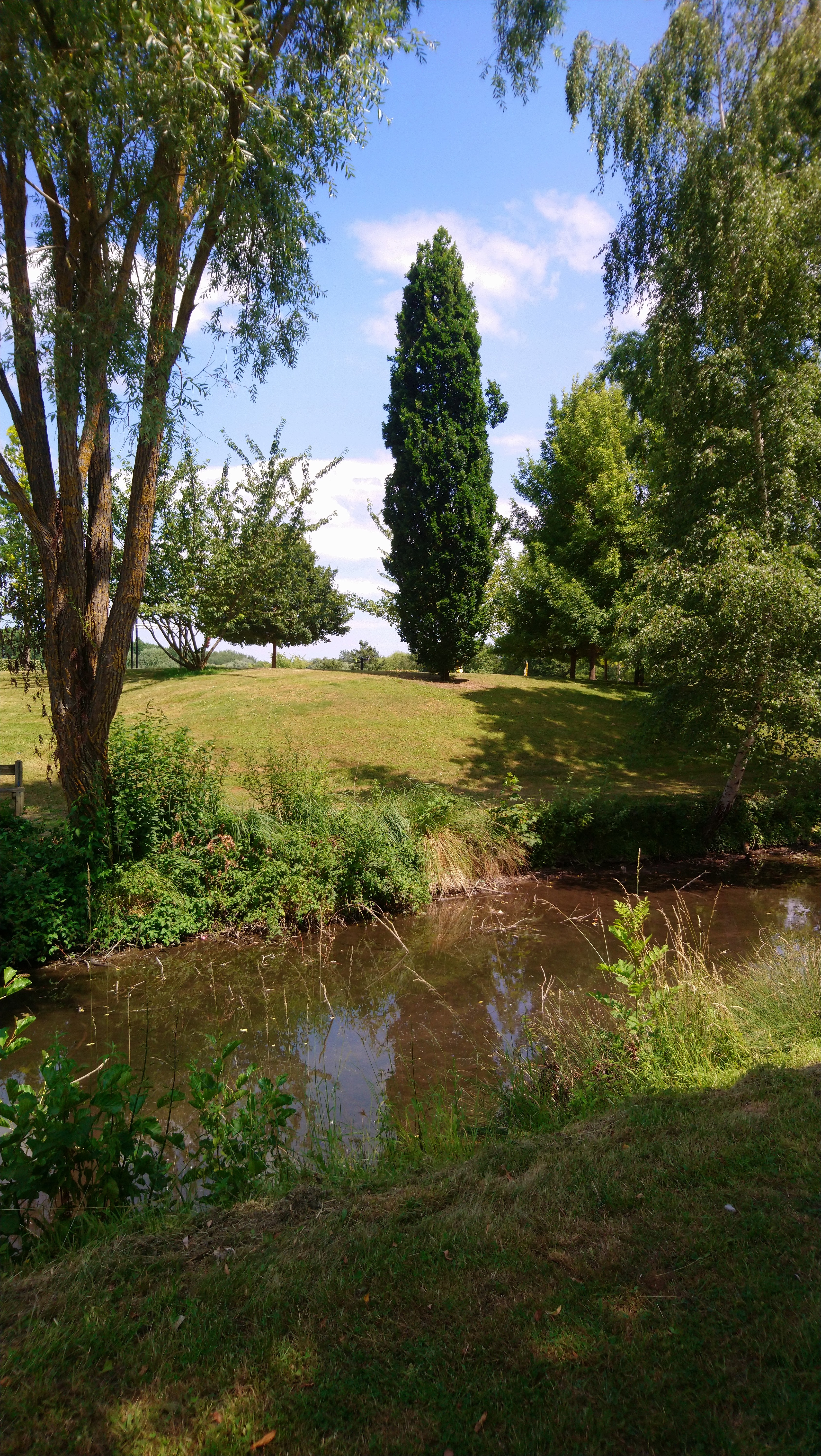 Photo n° 41 de l'avis de Lucien.e fait le 08/07/2019 à 10:52