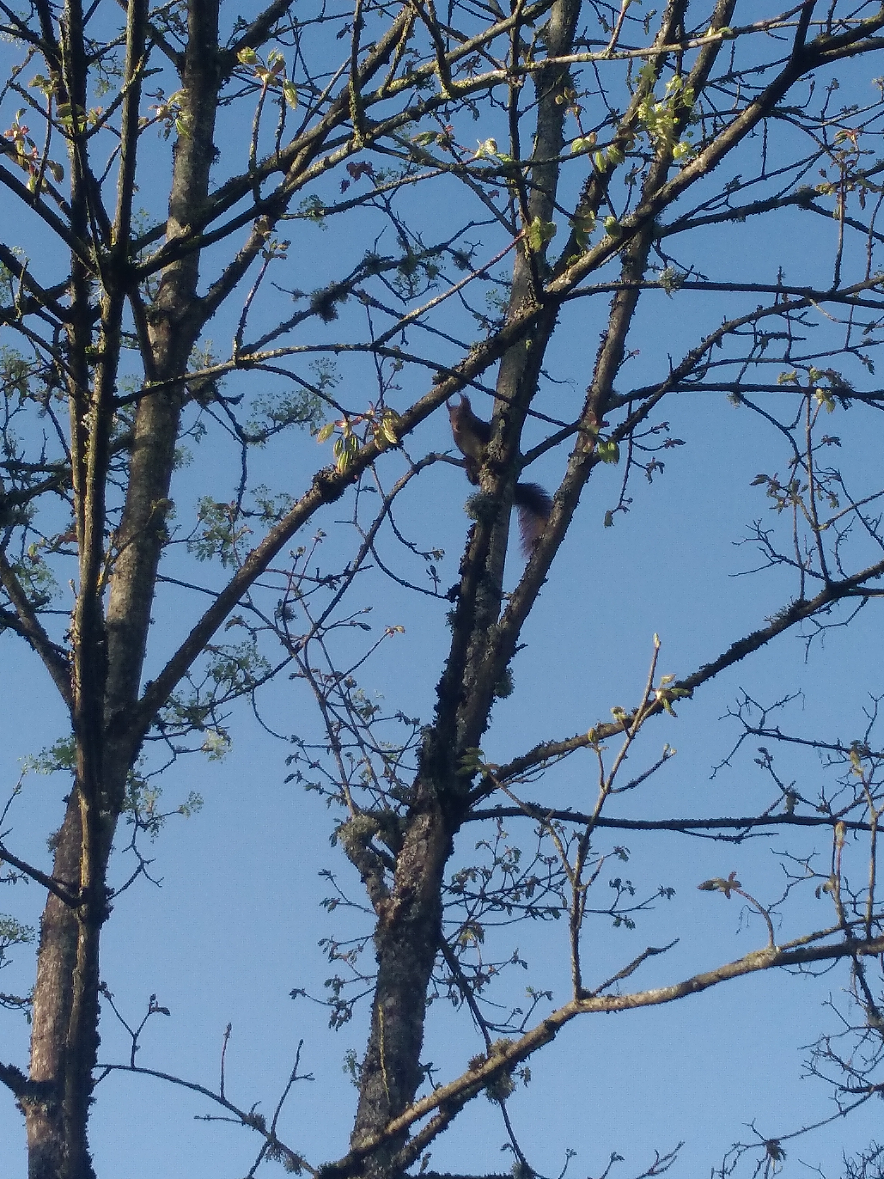 Photo n° 2 de l'avis de Yohan.l fait le 17/04/2018 à 08:35