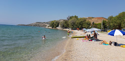 Megara beach'in fotoğrafı - rahatlamayı sevenler arasında popüler bir yer