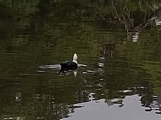 Zoo «Waccatee Zoological Farm», reviews and photos, 8500 Enterprise Rd, Myrtle Beach, SC 29588, USA