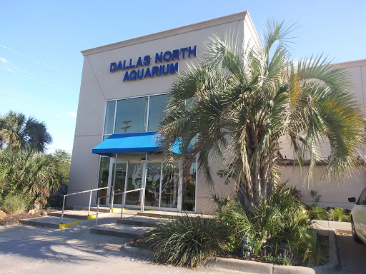 Tropical Fish Store «Dallas North Aquarium», reviews and photos, 2910 E Trinity Mills Rd, Carrollton, TX 75006, USA