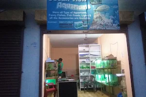 New Ocean View Aquariums & Pet Shop, Dhangadhi image