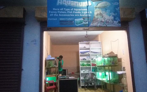 New Ocean View Aquariums & Pet Shop, Dhangadhi image