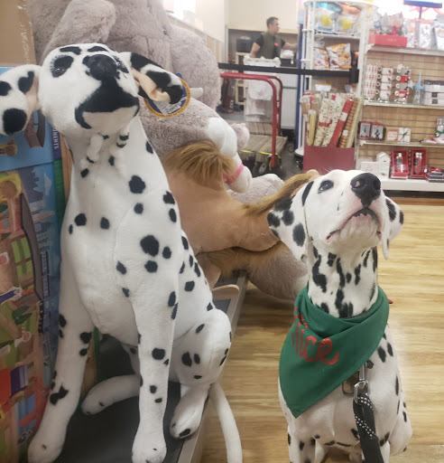 Department Store «HomeGoods», reviews and photos, 3377 U.S. 190, Mandeville, LA 70471, USA